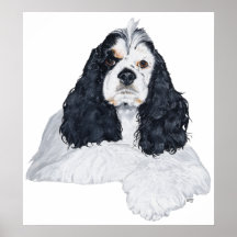 American Cocker Spaniel Posters