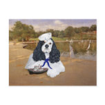 American Cocker Spaniel Sailor Postcards