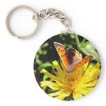 American Copper butterfly ~ keychain