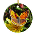 American Copper Butterfly ~ ornament