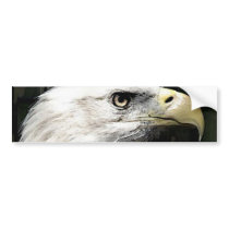 American Eagle Bumper Stickers