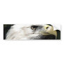 American Eagle Bumper Stickers