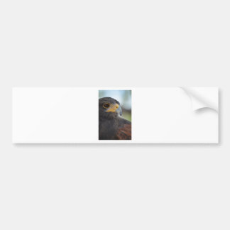American Eagle Bumper Sticker