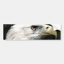 American Eagle Bumper Stickers