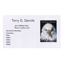 American Eagle Business Cards
