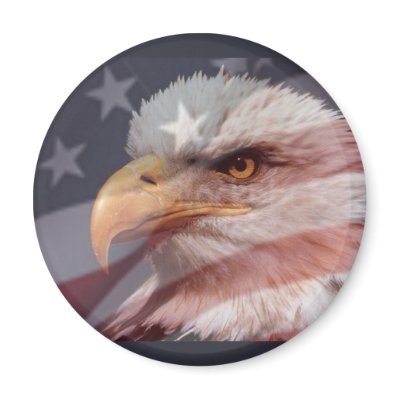 AMERICAN EAGLE by SHARON SHARPE Fridge Magnets by sharonsharpe