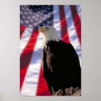 American Eagle & Flag Poster