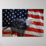 American Eagle Flag Print