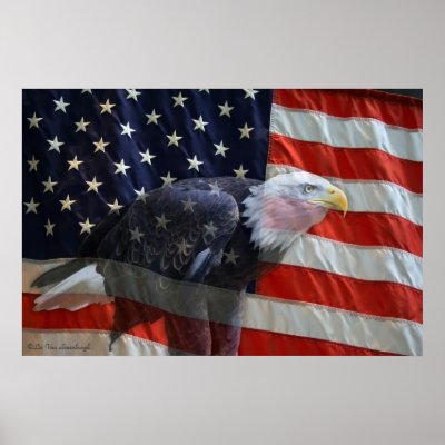 American Eagle Flag Print by StarStock