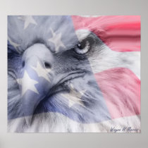 American Eagle Print