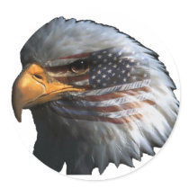 American Eagle with Flag Stickers
