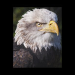 American Eagle Wrapped Canvas Print canvas prints