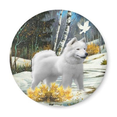 American Eskimo A Winter Scene cards Fridge Magnets by friskybiz