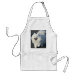 American Eskimo aprons