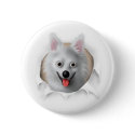 American Eskimo Busting Out buttons