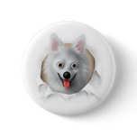 American Eskimo Busting Out buttons
