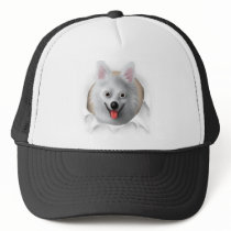 American Eskimo Busting Out