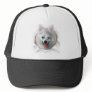American Eskimo Busting Out