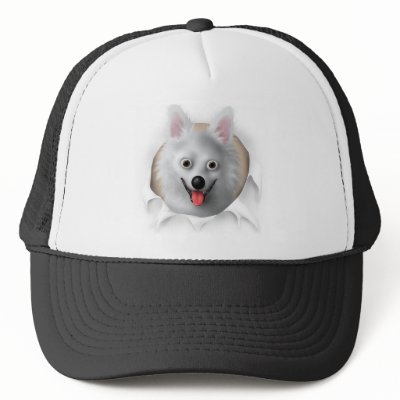 American Eskimo Busting Out by cartoondogs
