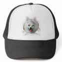 American Eskimo Busting Out hats
