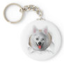 American Eskimo Busting Out