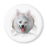 American Eskimo Busting Out Refrigerator Magnet