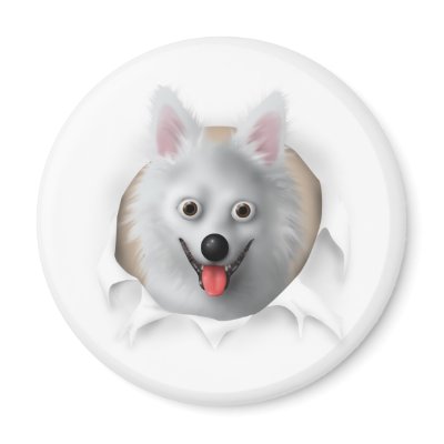 American Eskimo Busting Out by cartoondogs