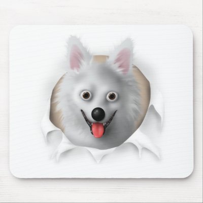 American Eskimo Busting Out by cartoondogs