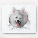 American Eskimo Busting Out mousepads