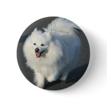 American Eskimo Pin