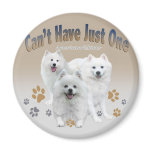 American Eskimo Can't Have Just One Magnet