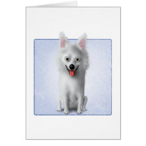 American Eskimo