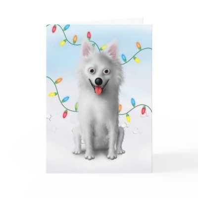 American Eskimo Christmas by cartoondogs