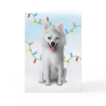 American Eskimo Christmas Greeting Cards