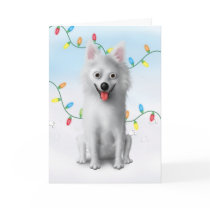 American Eskimo Christmas