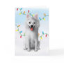 American Eskimo Christmas