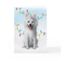 American Eskimo Christmas cards