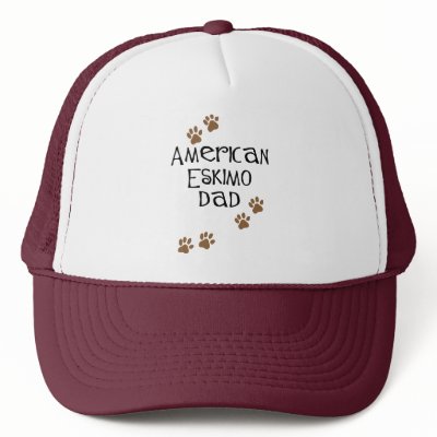 American Eskimo Dad by dogsandhorses