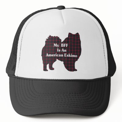 American Eskimo Dog BFF Hat by DogsByDezign
