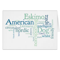 American Eskimo Dog