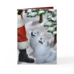 American Eskimo Dog Christmas Cards