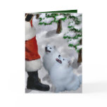 American Eskimo Dog Christmas Greeting Cards
