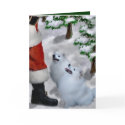American Eskimo Dog Christmas cards
