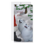 American Eskimo Dog Christmas Gifts photo cards