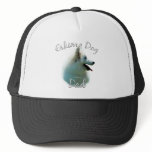 American Eskimo Dog Dad 2