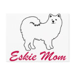 American Eskimo Dog Eskie Mum