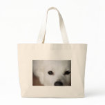 American Eskimo Dog Face 2 Tote Bags