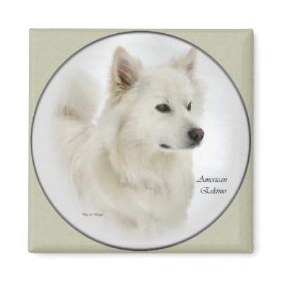 American Eskimo Dog Gifts Art by DogsByDezign