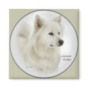 American Eskimo Dog Gifts Art magnets