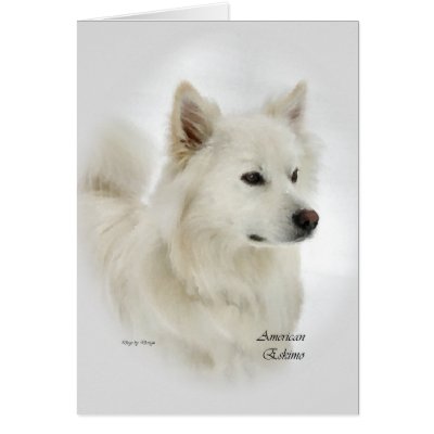 American Eskimo Dog Gifts by DogsByDezign